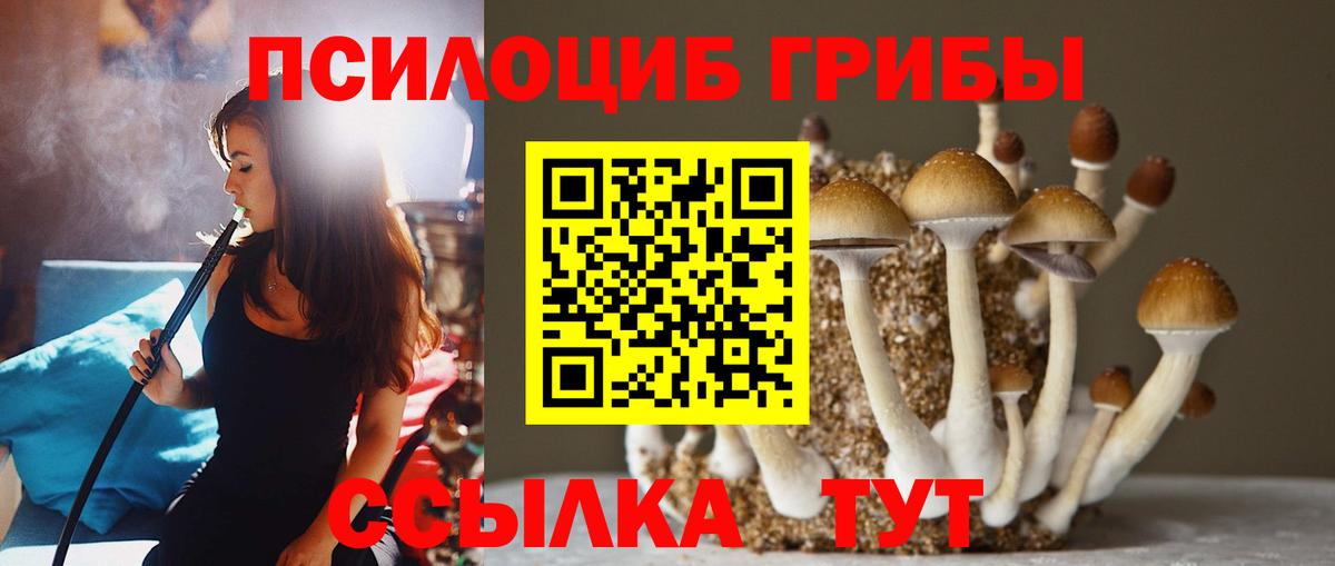 Псилоцибиновые грибы мухоморы  Псилоцибиновые грибы Psilocybine cubensis  Кимовск  Вход с VPN 